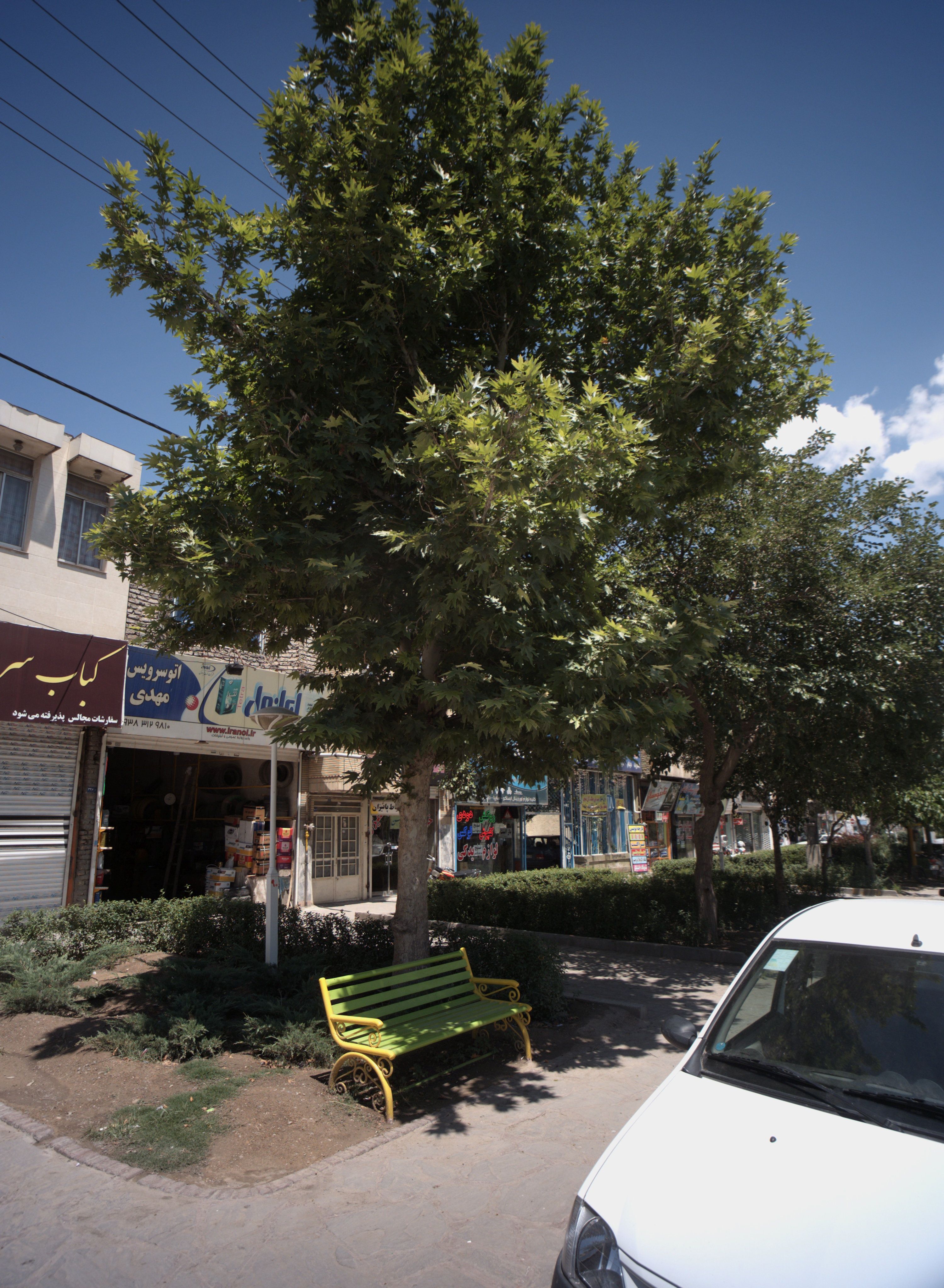 اتو سرویس مهدی