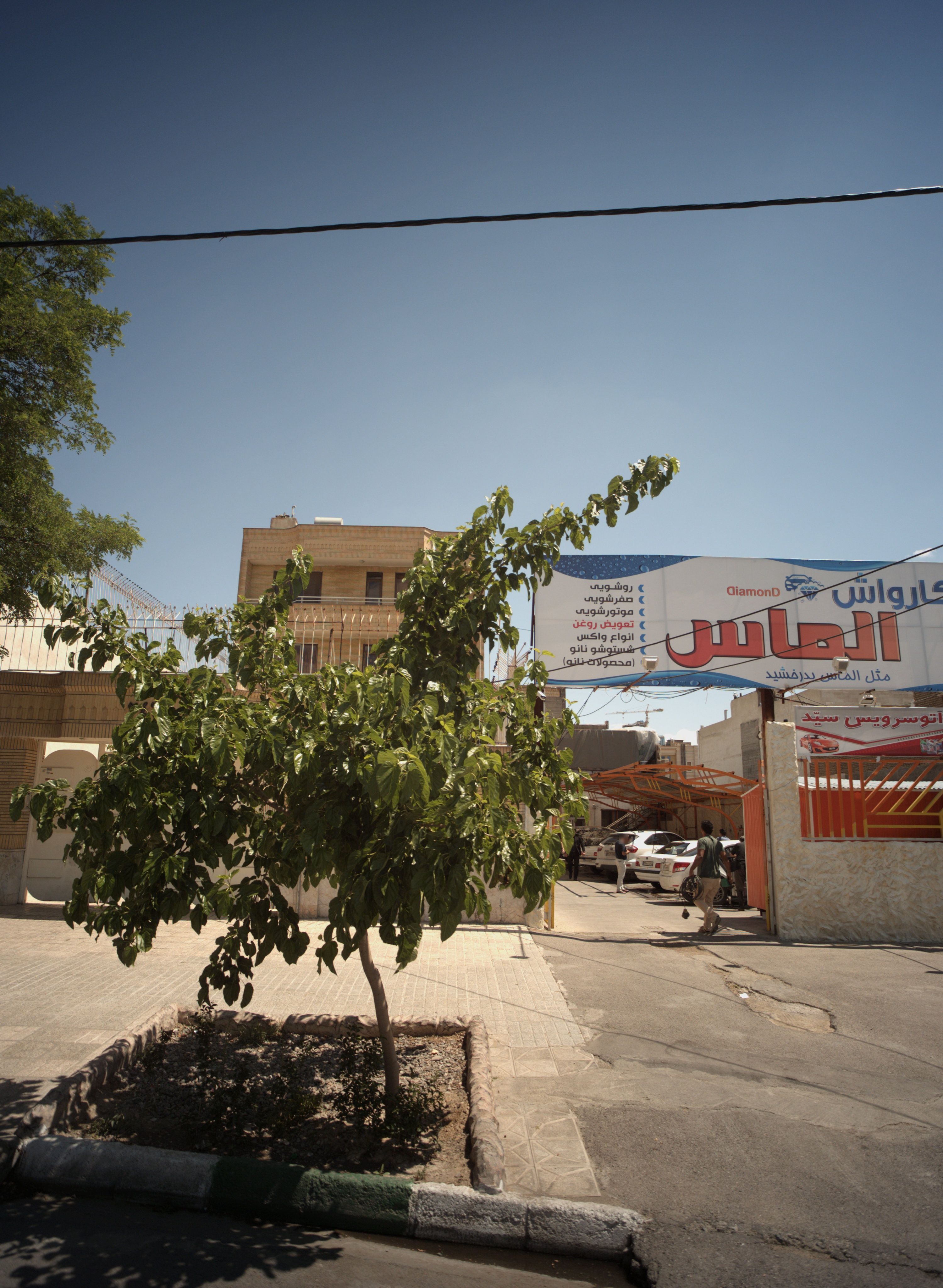اتو سرویس سید