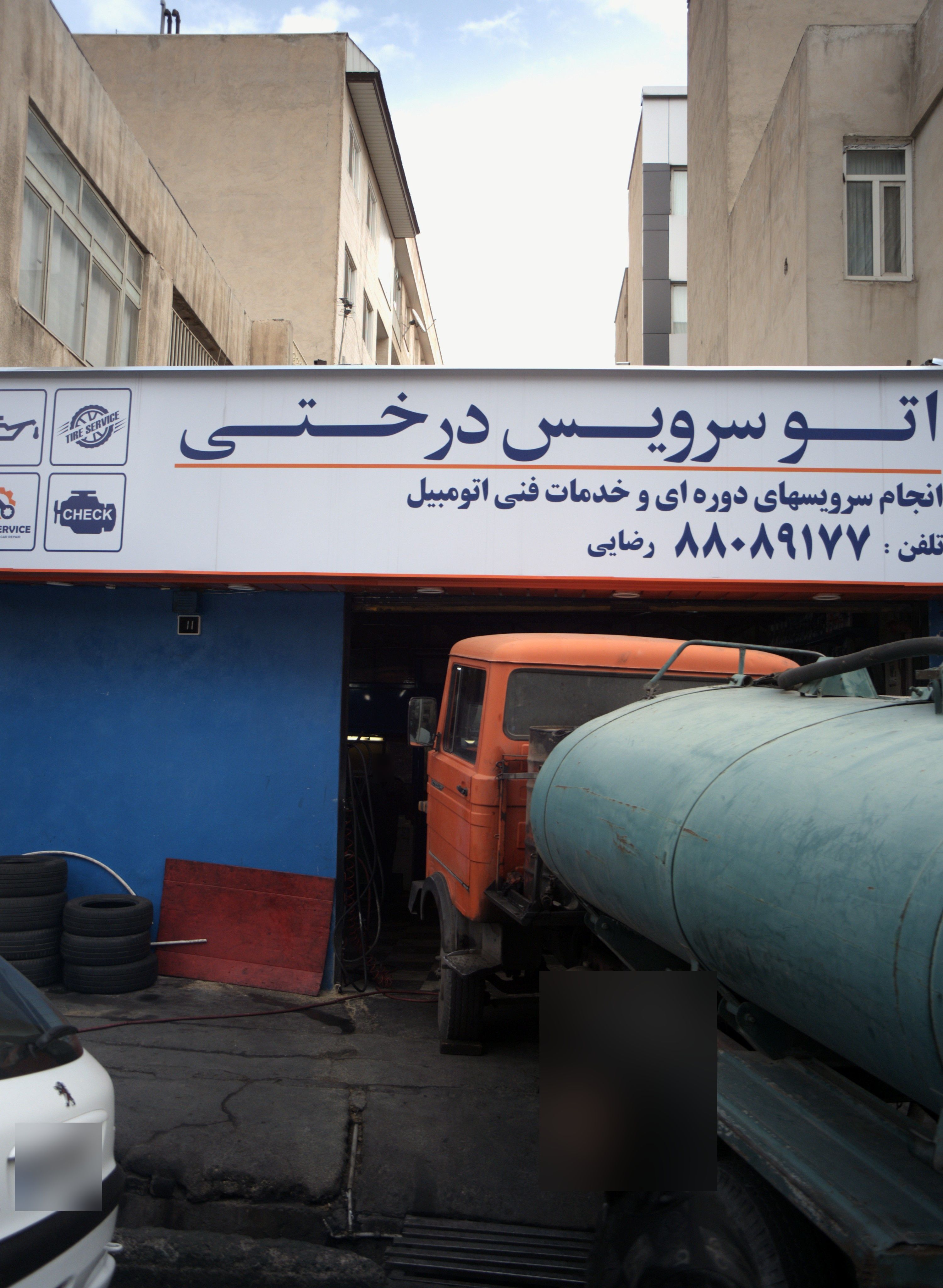 اتو سرویس درختی