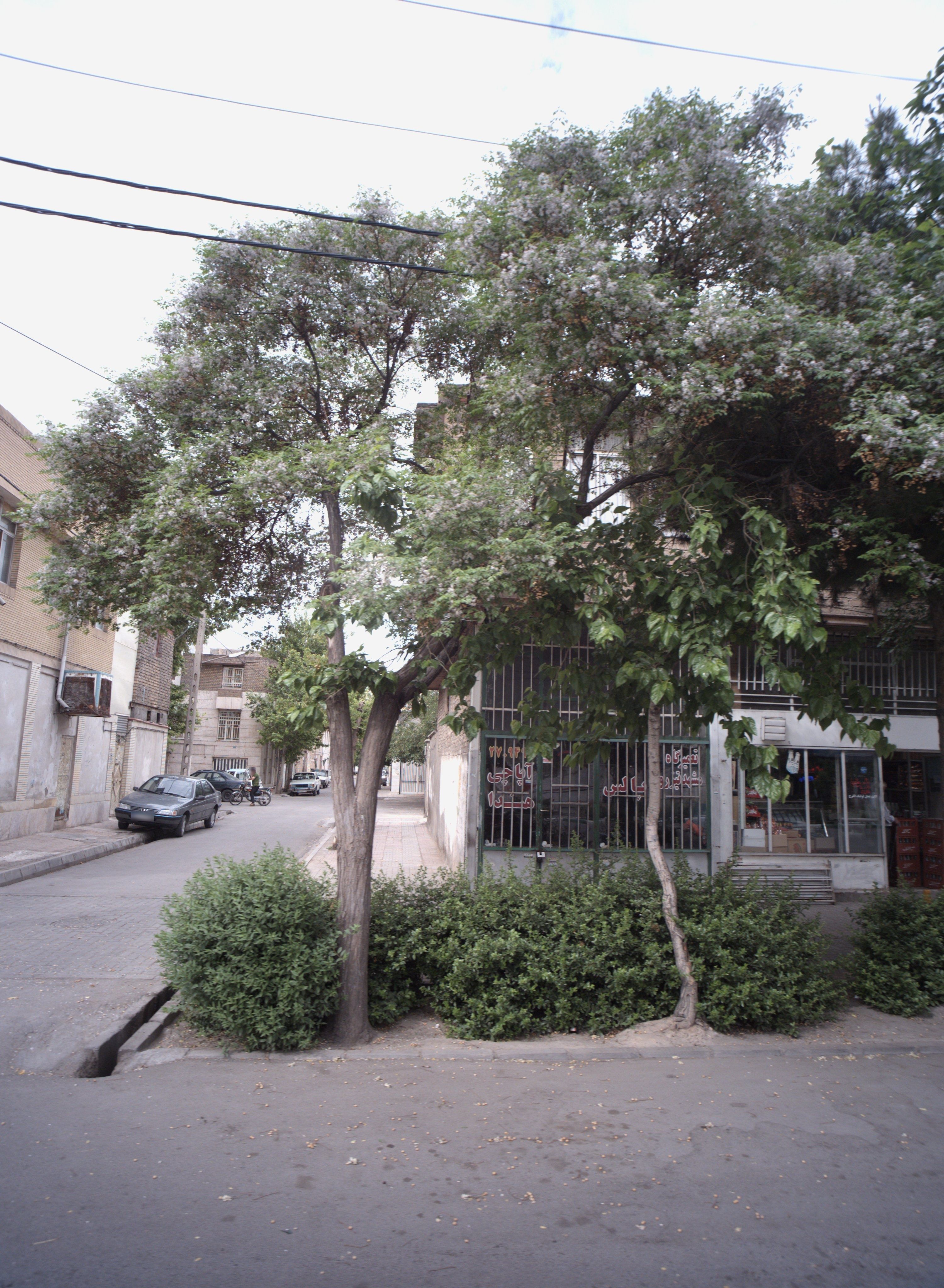 تعمیرگاه مشهد تیزرو