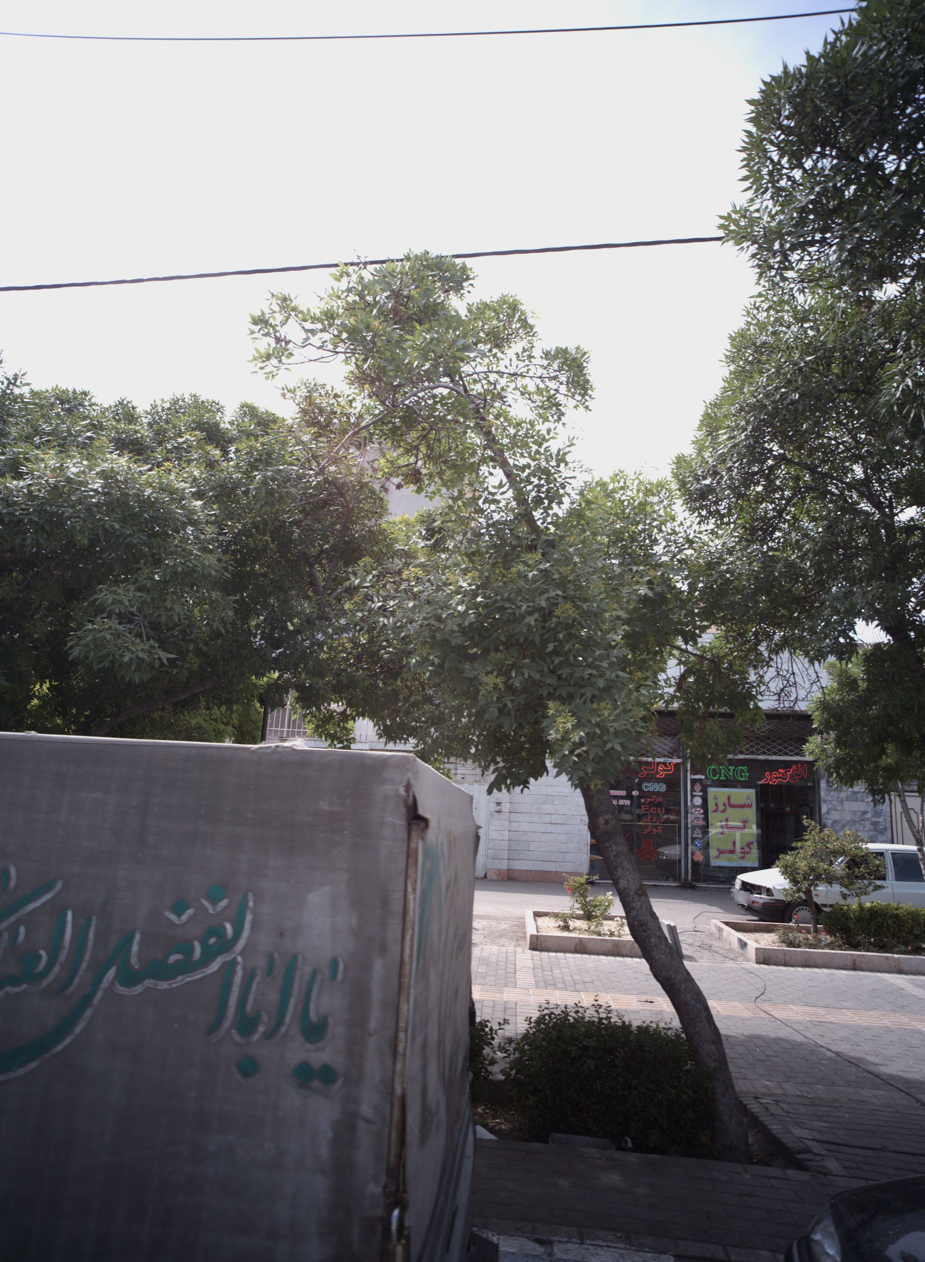 خدمات خودرو کرمانی