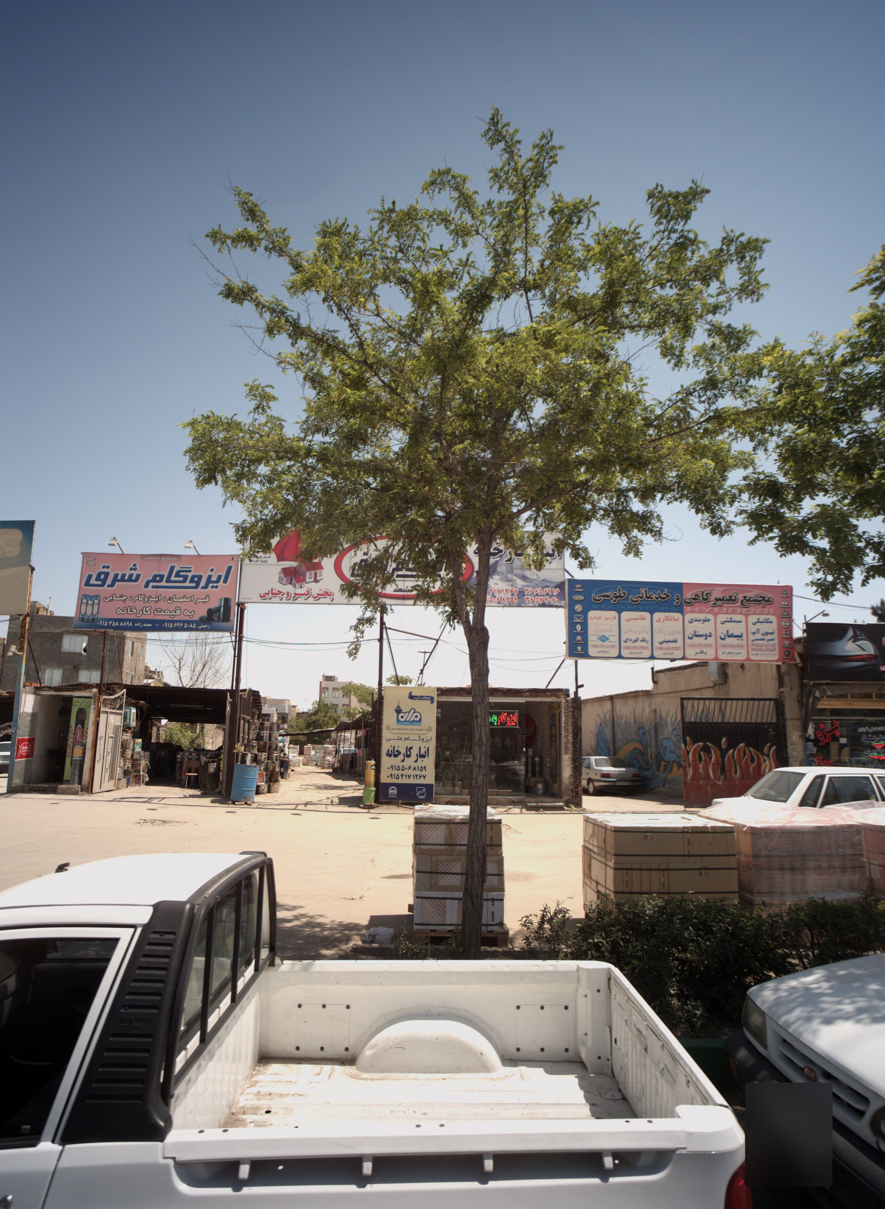 جلوبندی دوستان