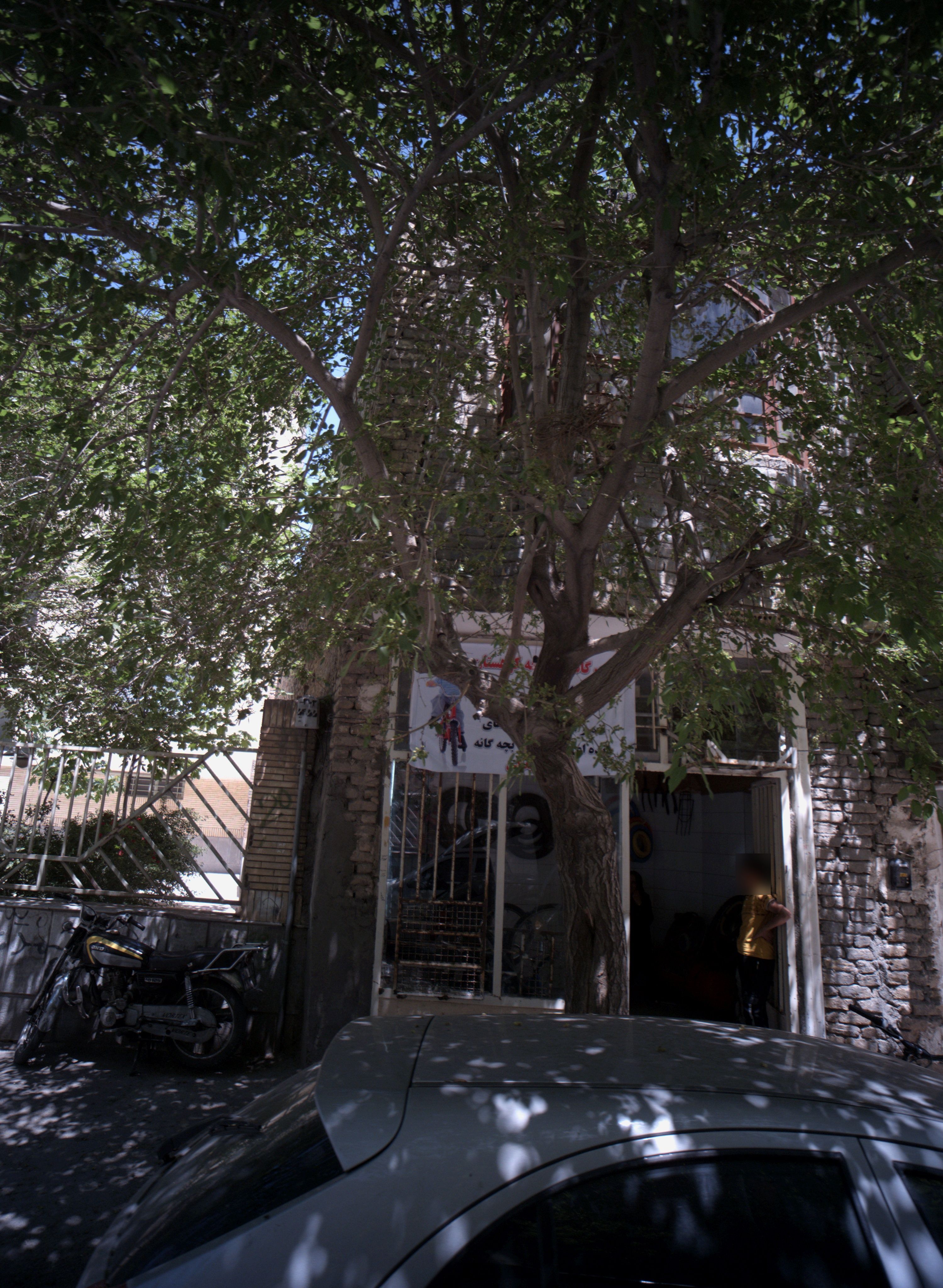 تعمیرگاه دوچرخه کوهستان
