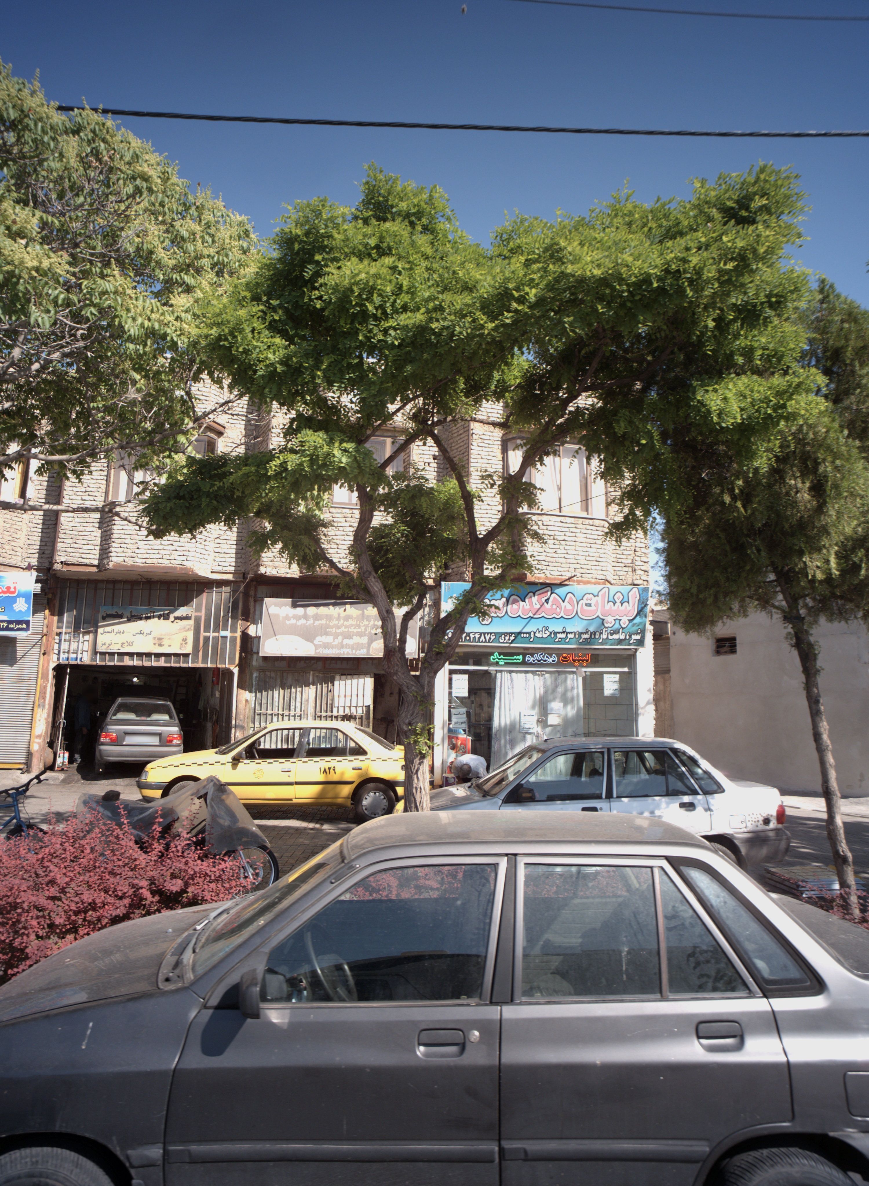 خدمات جلوبندی مجید