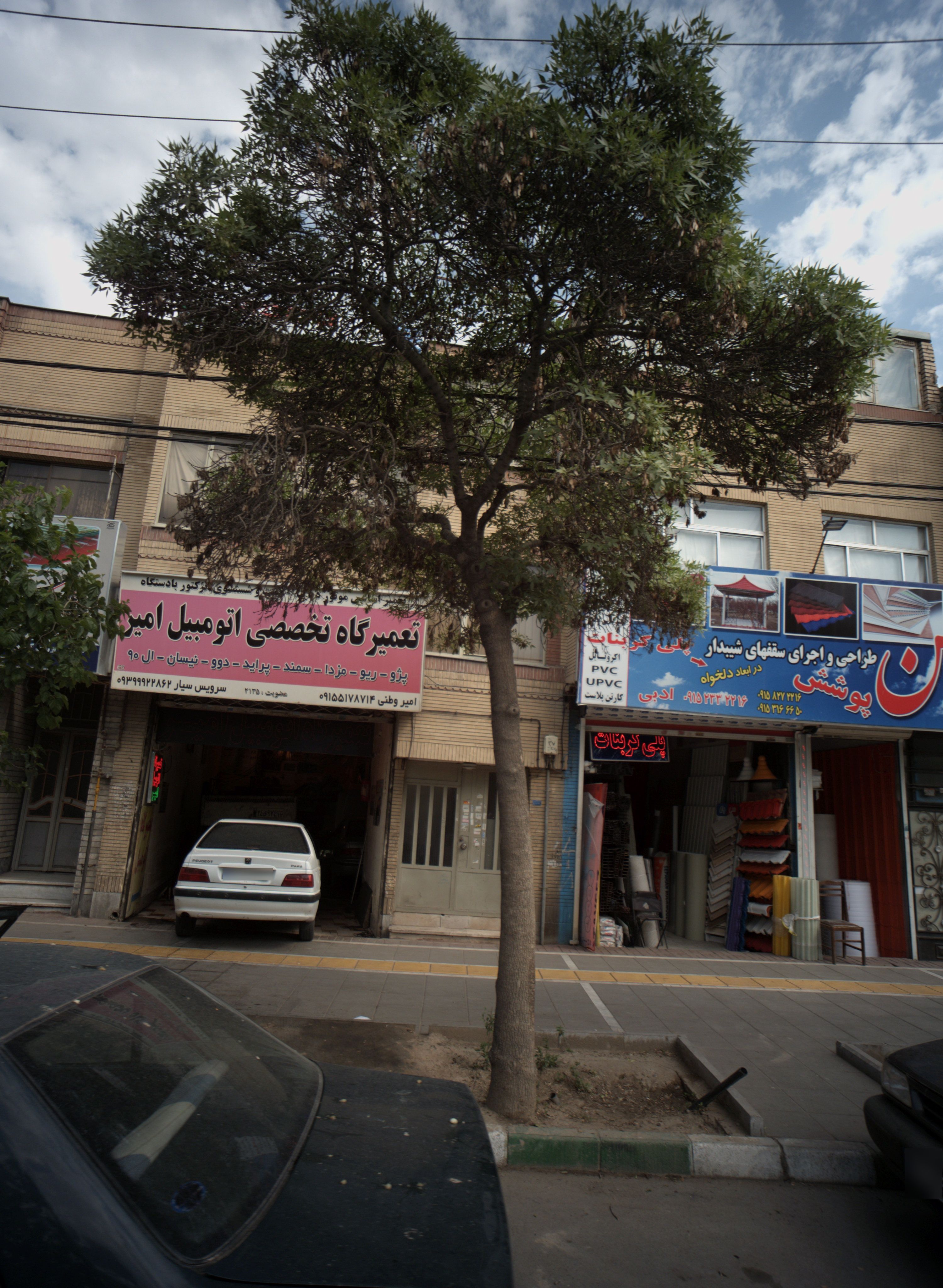 تعمیرگاه تخصصی اتومبیل امیر