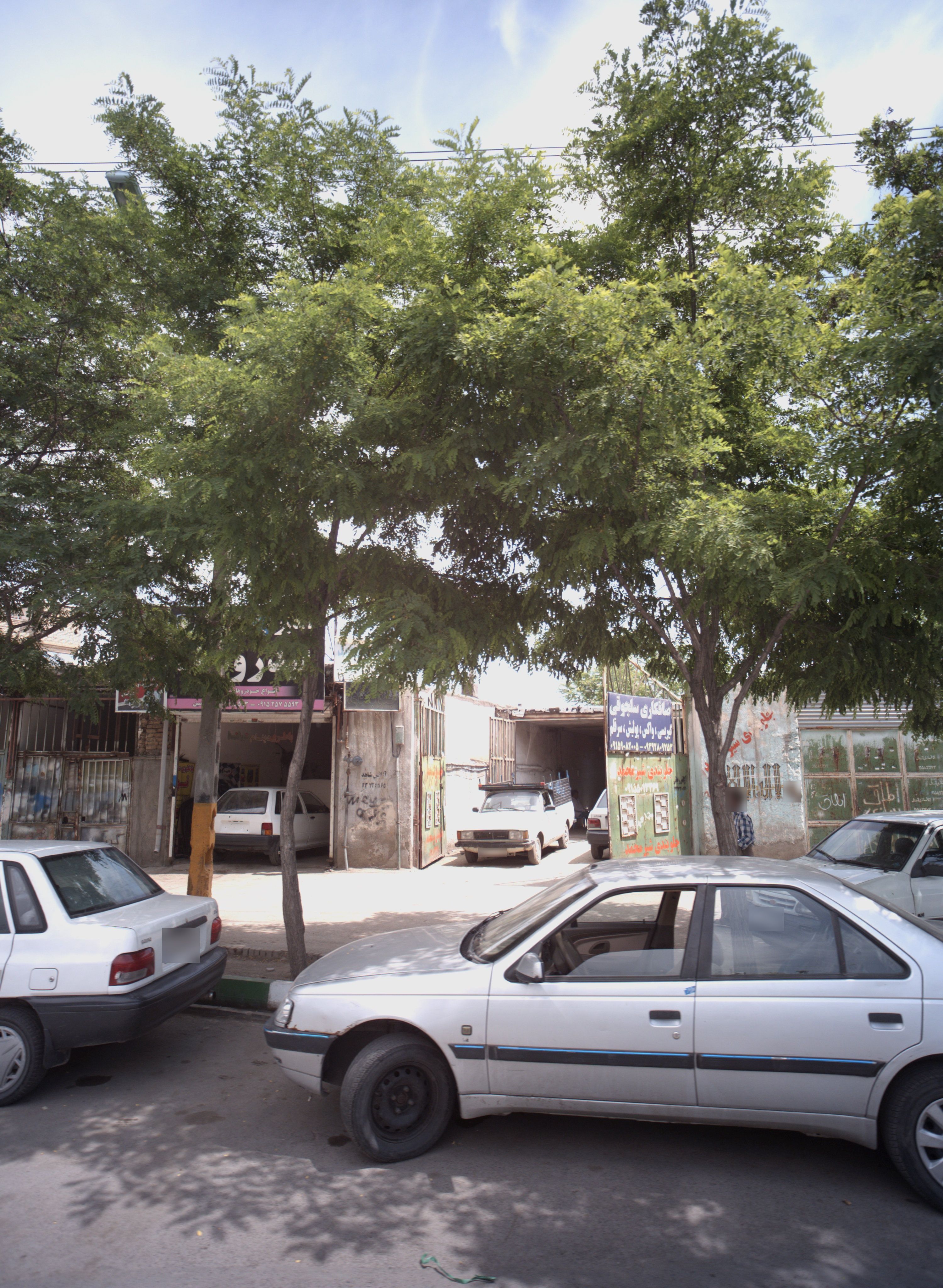 جلوبندی شیرمحمد