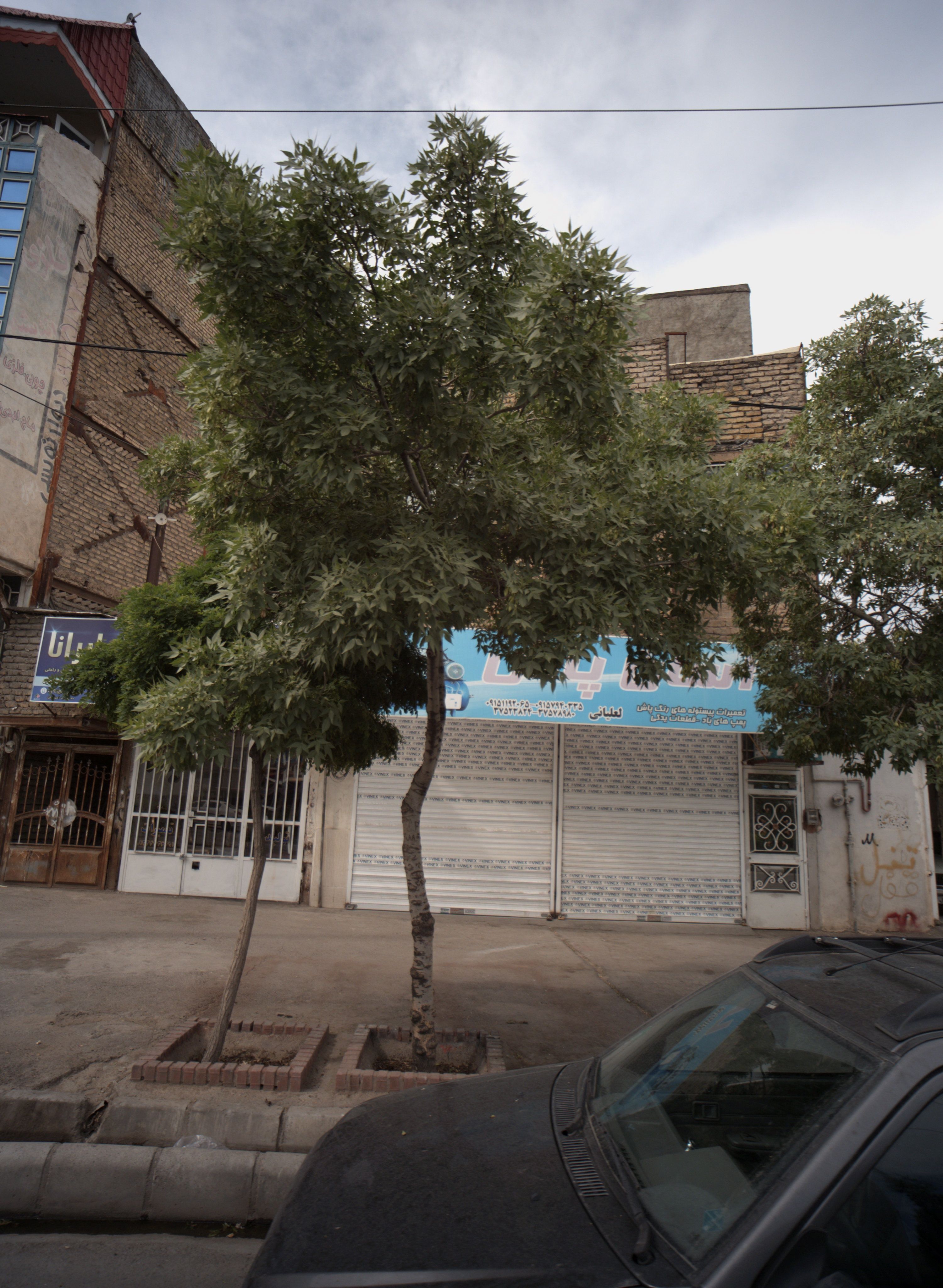 فروشگاه و تعمیرگاه پمپ و پیستوله آسان پاش