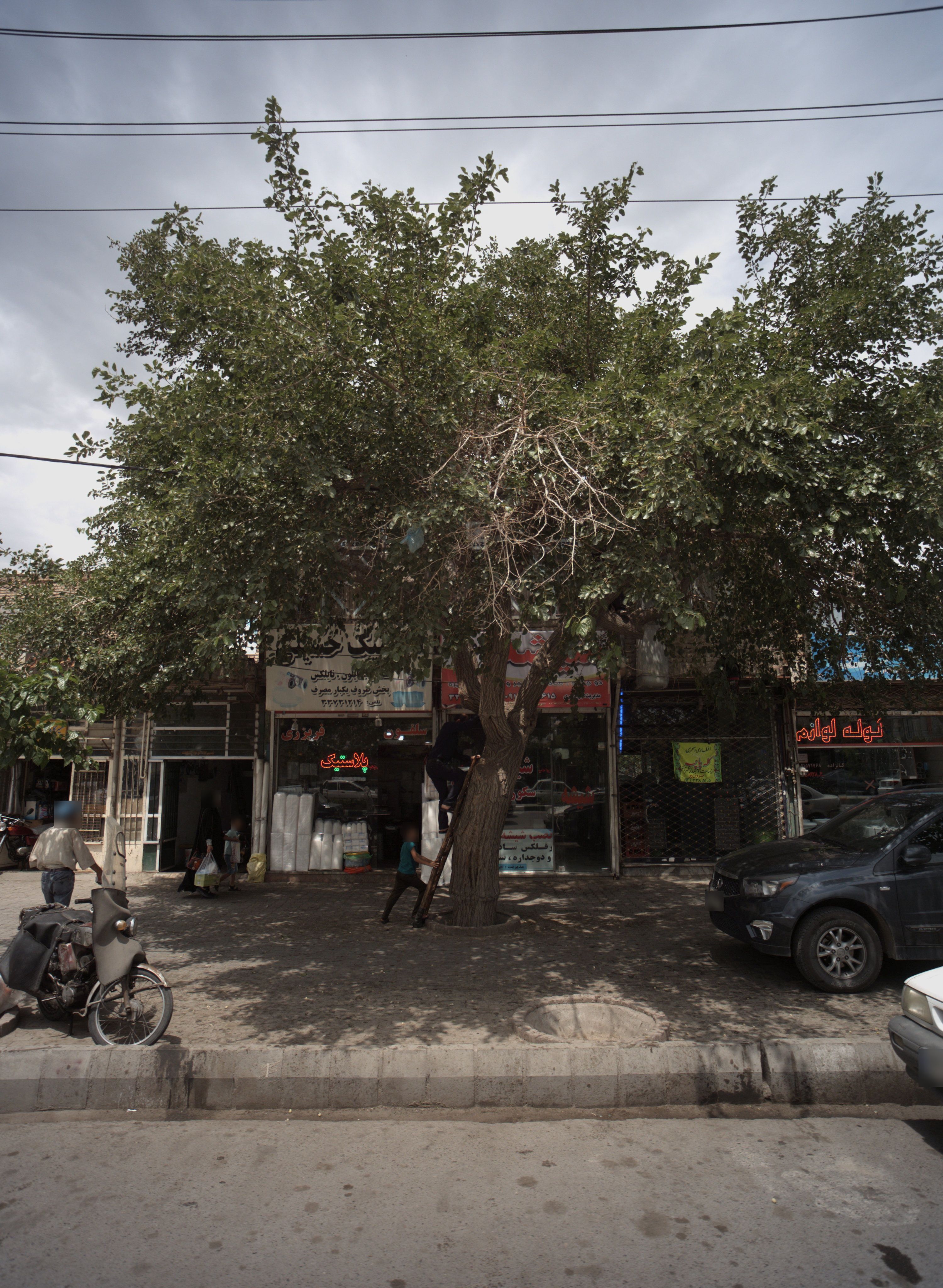 تعمیرگاه موتورسیکلت