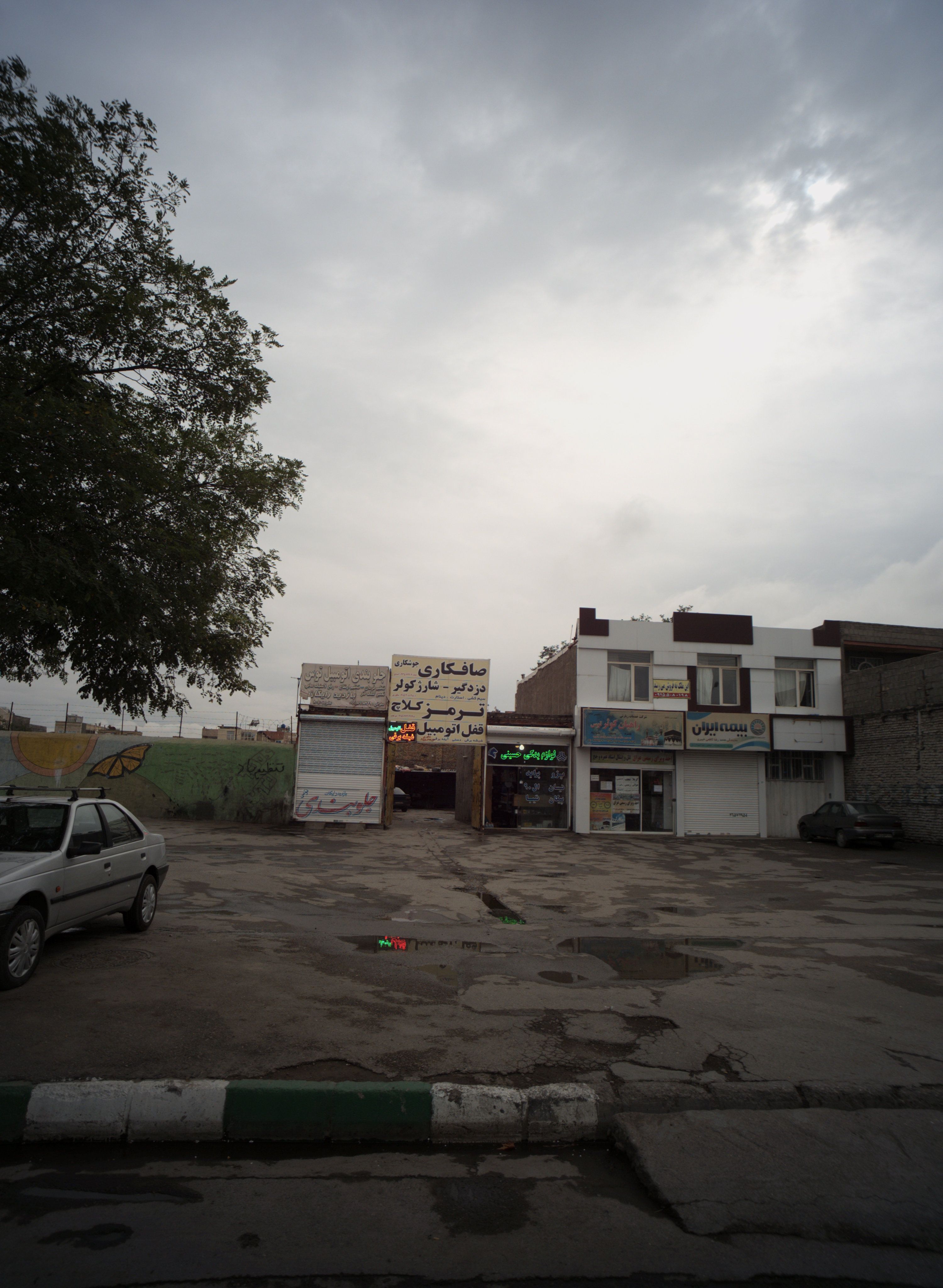 جلوبندی اتومبیل توس