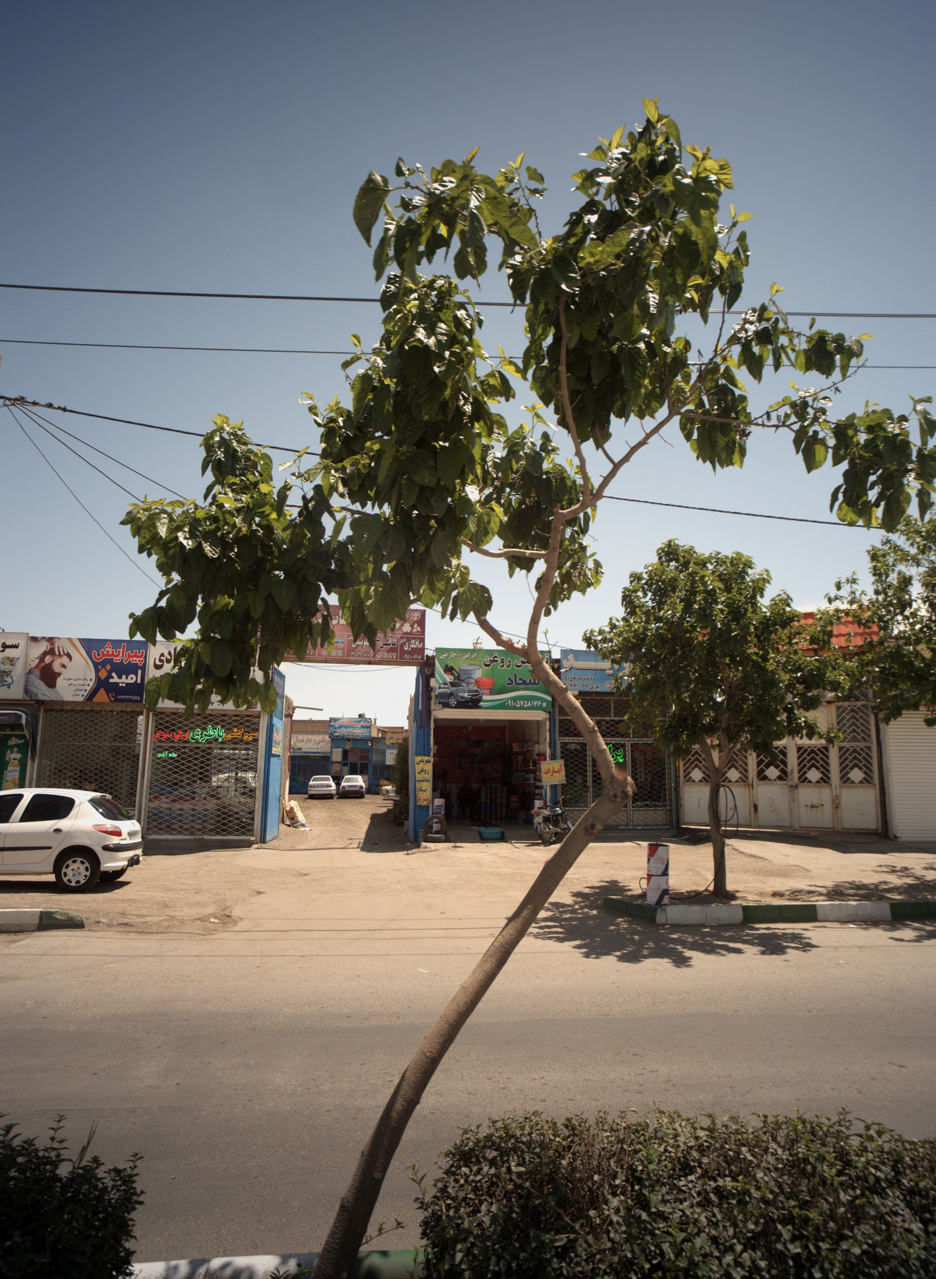 جلوبندی ناصر