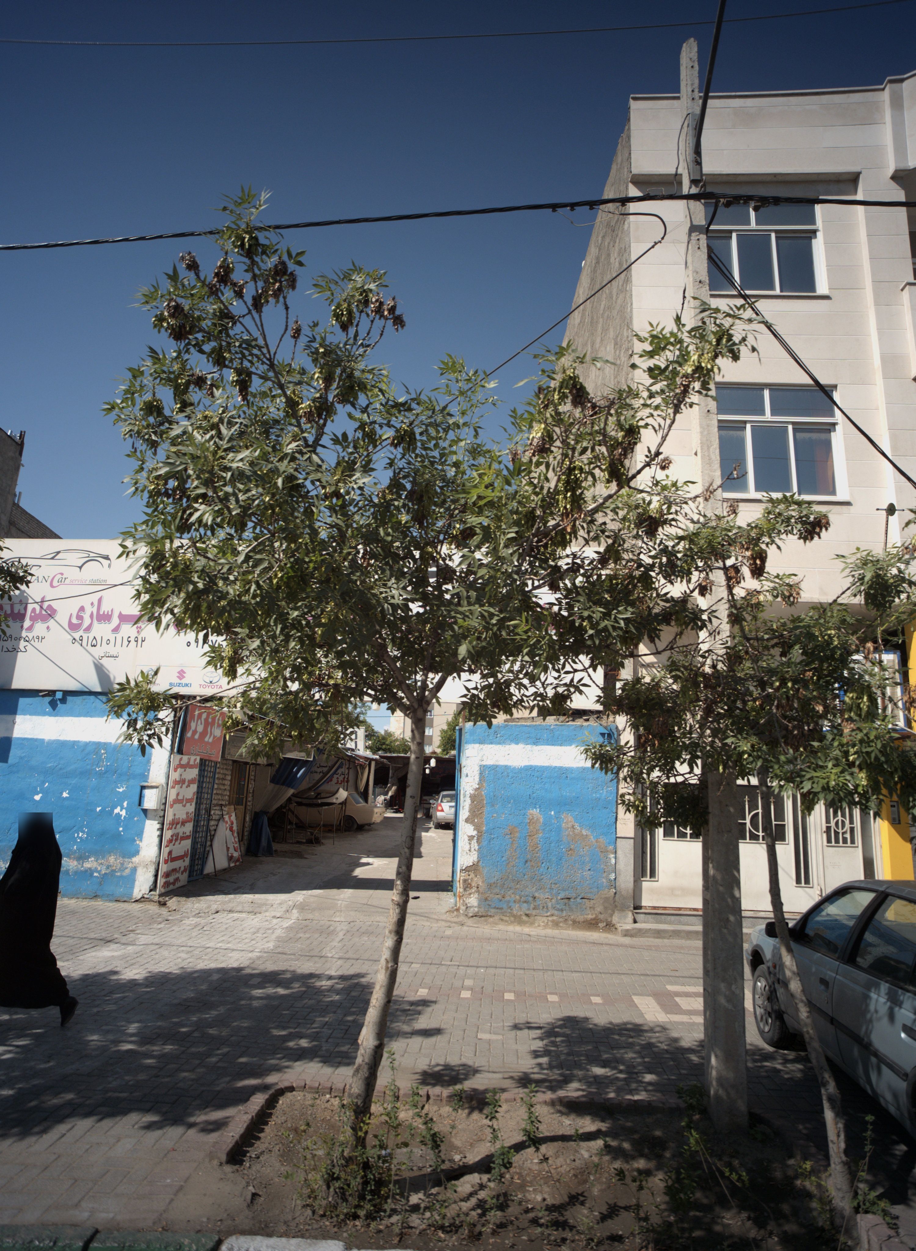 صافکاری جلوبندی سپرسازی