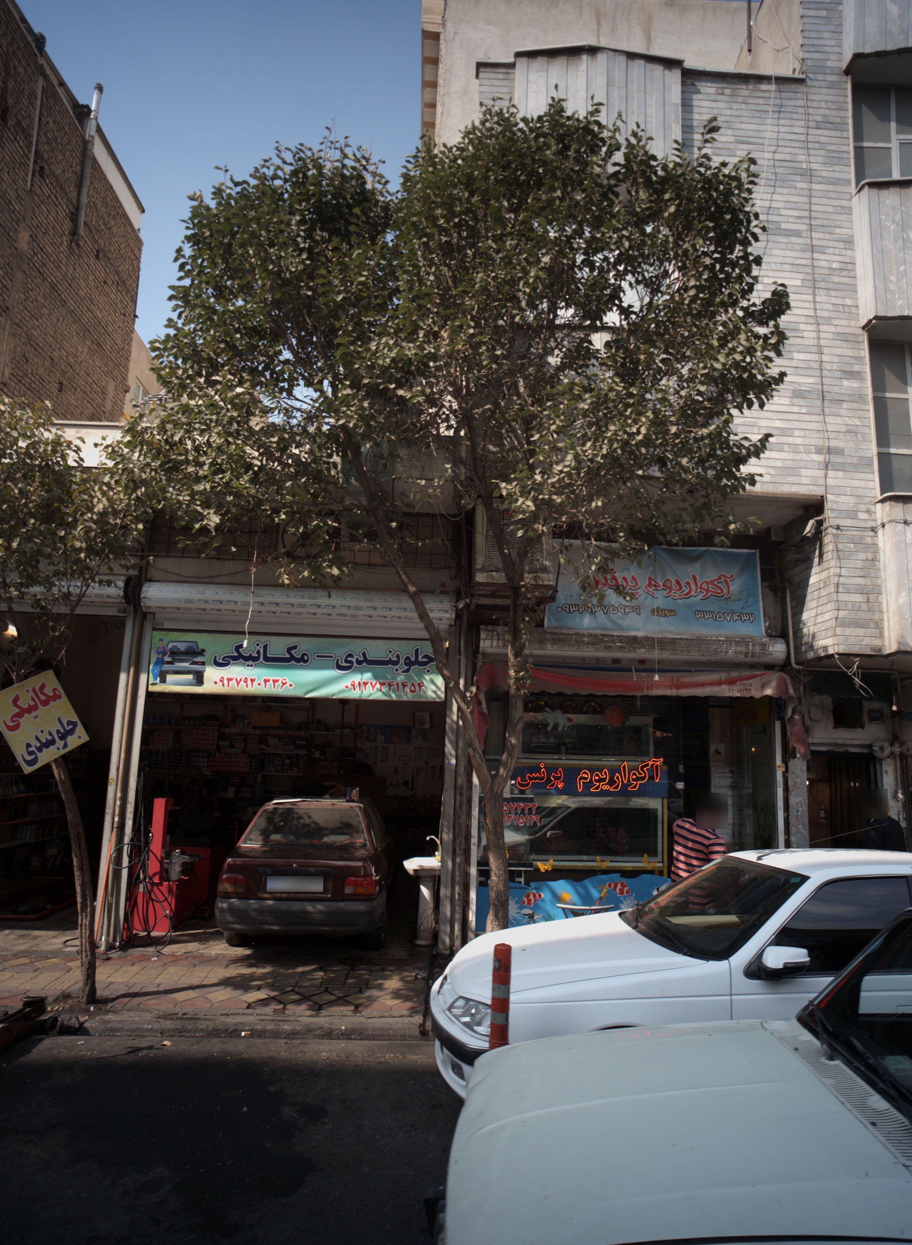 جلوبندی و مکانیکی