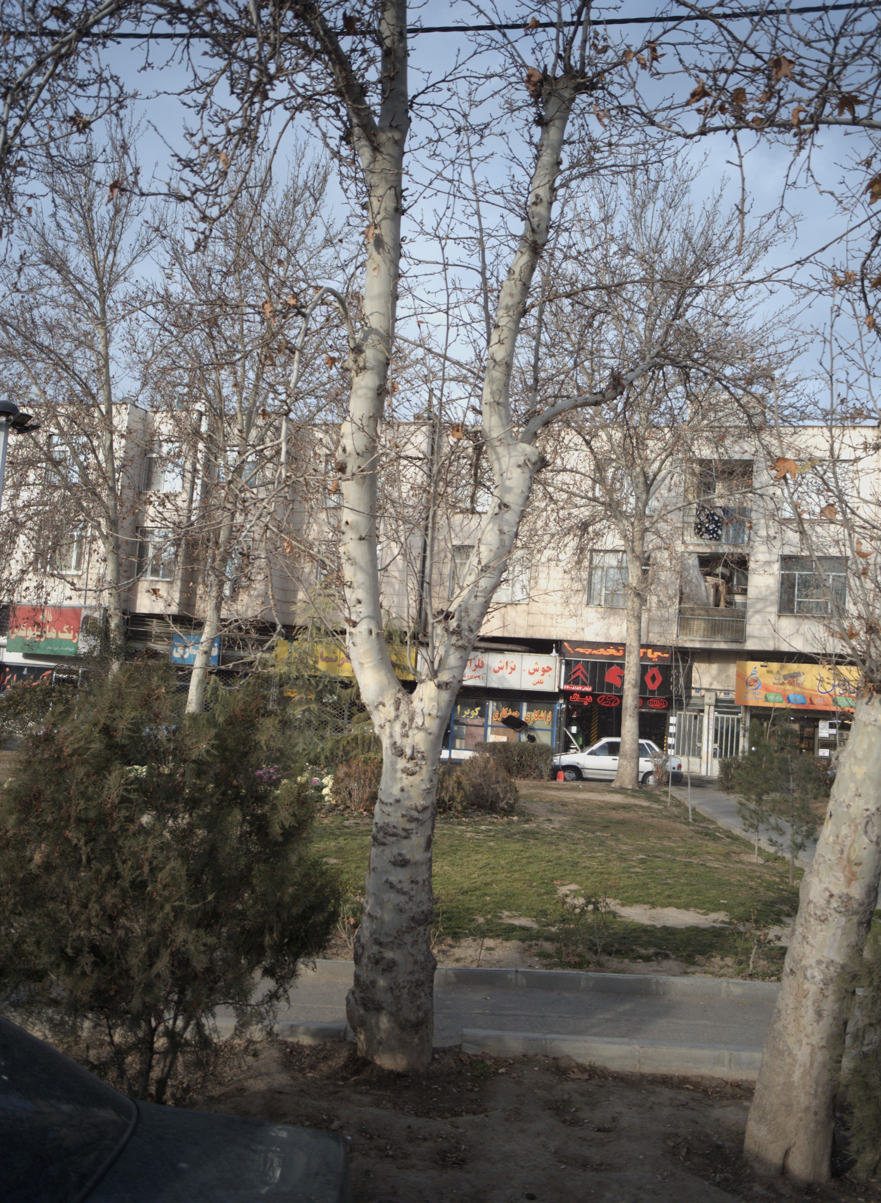 تعمیرگاه اولیائی