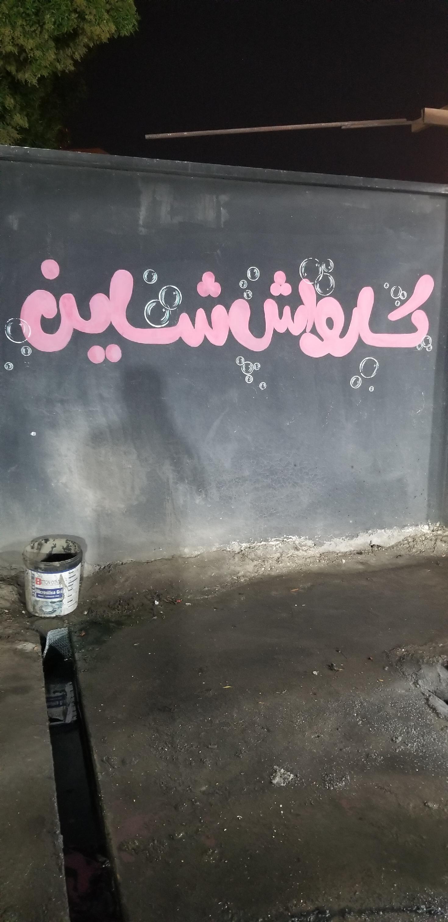 کارواش شاین