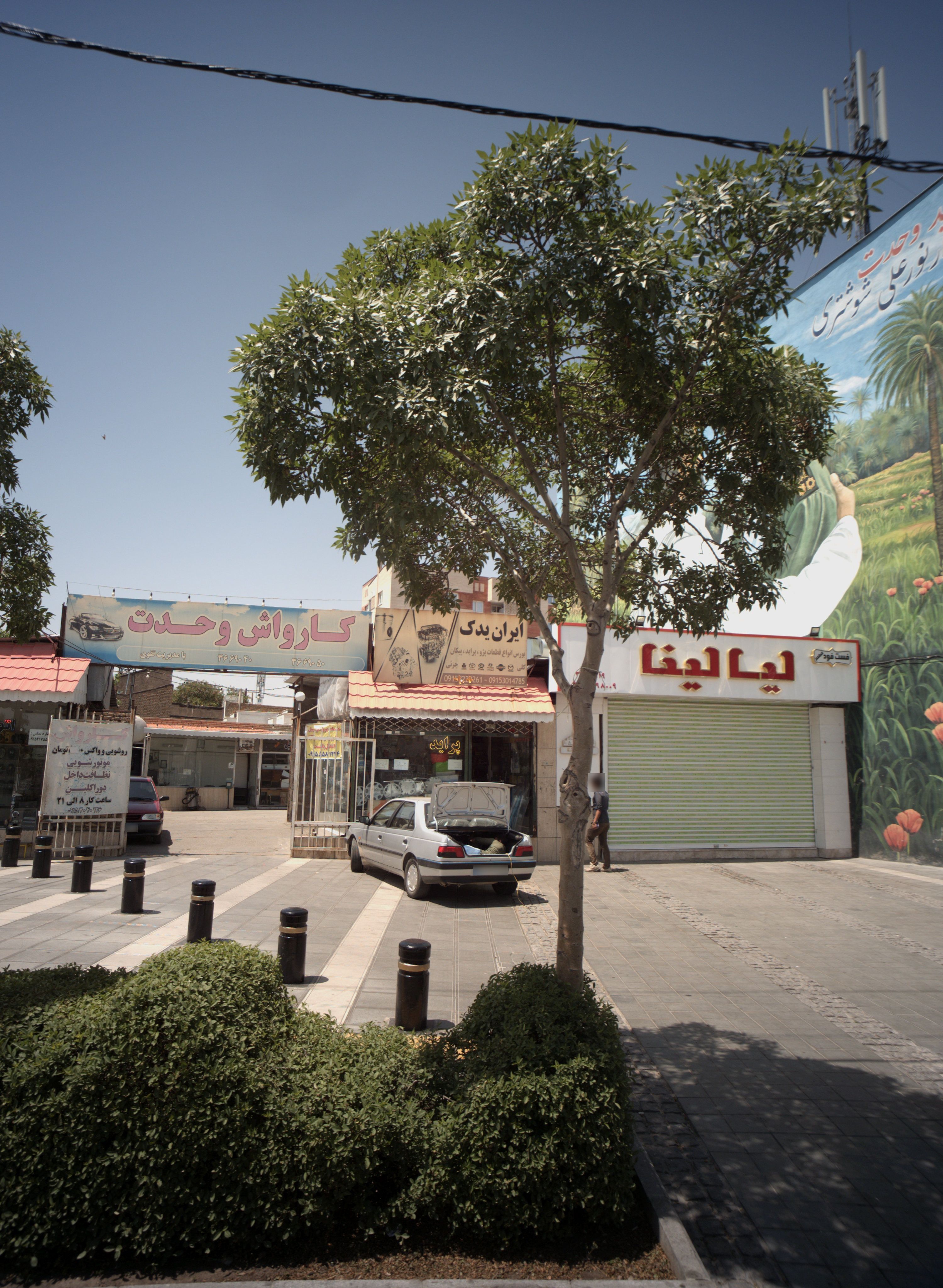 کارواش وحدت