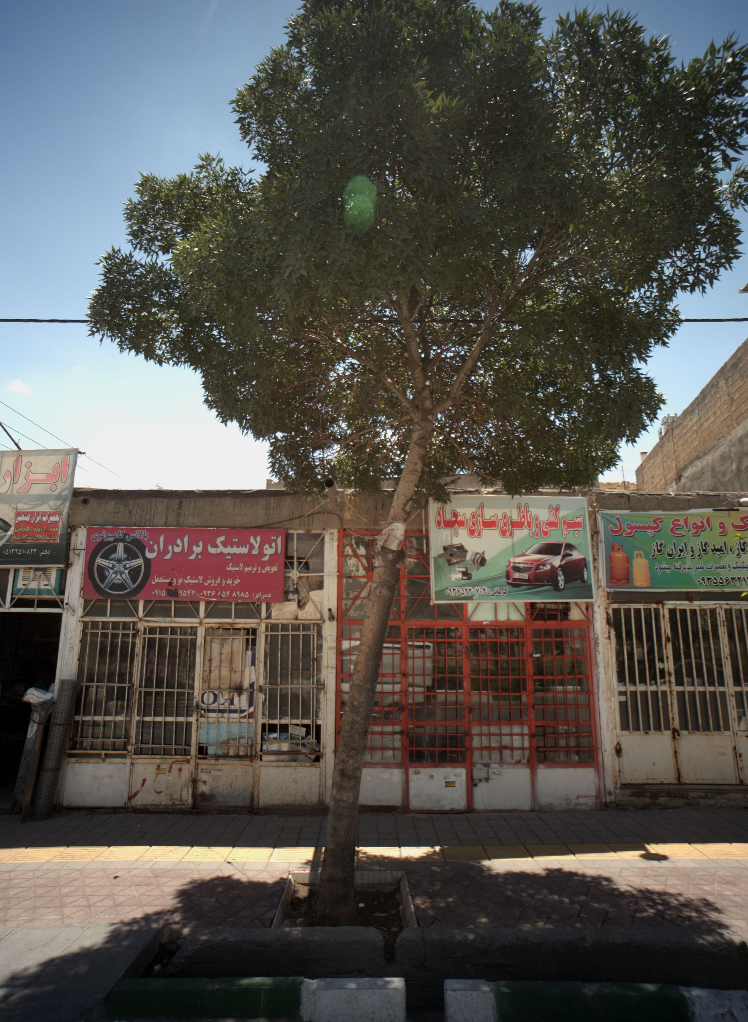 سیم کشی و باطری سازی سجاد