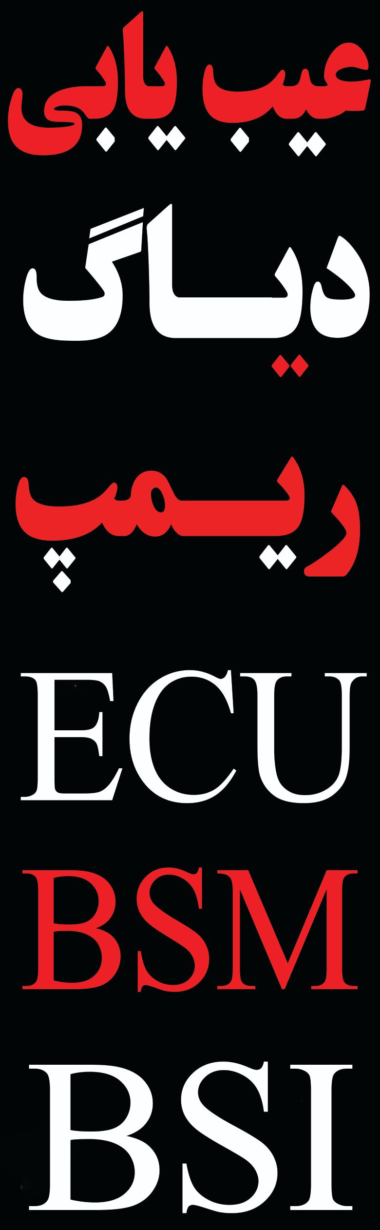 باطری سازی نوروزی